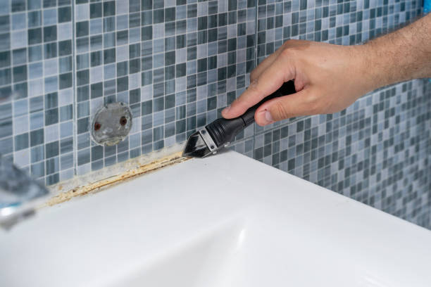 Best Local Mold Removal Service  in Newport, KY